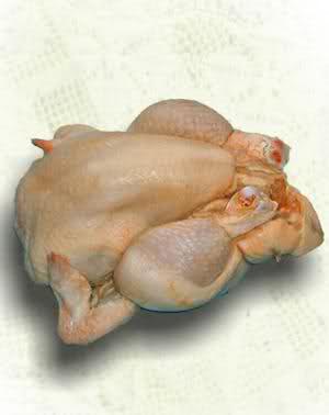 pollo
